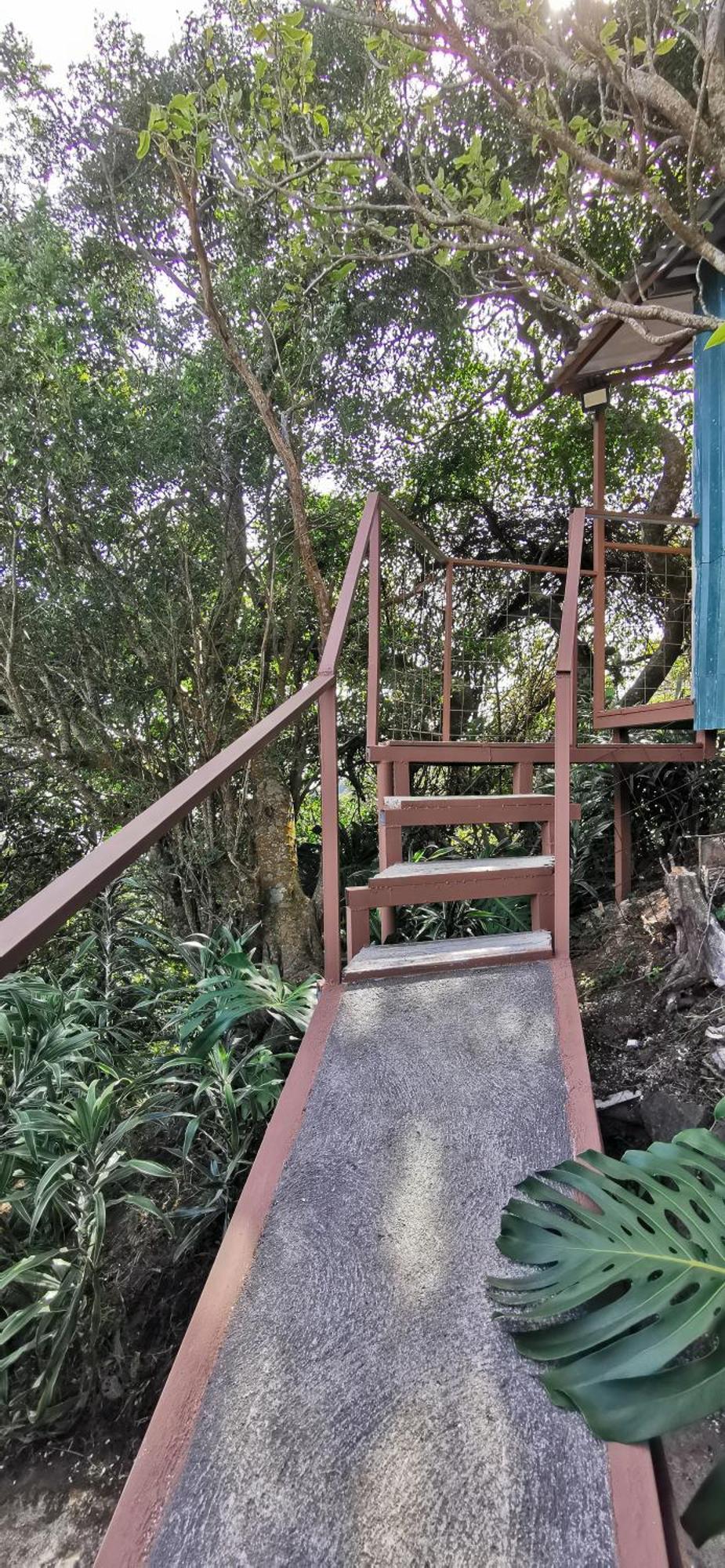 Mora's Place Hostel Monteverde