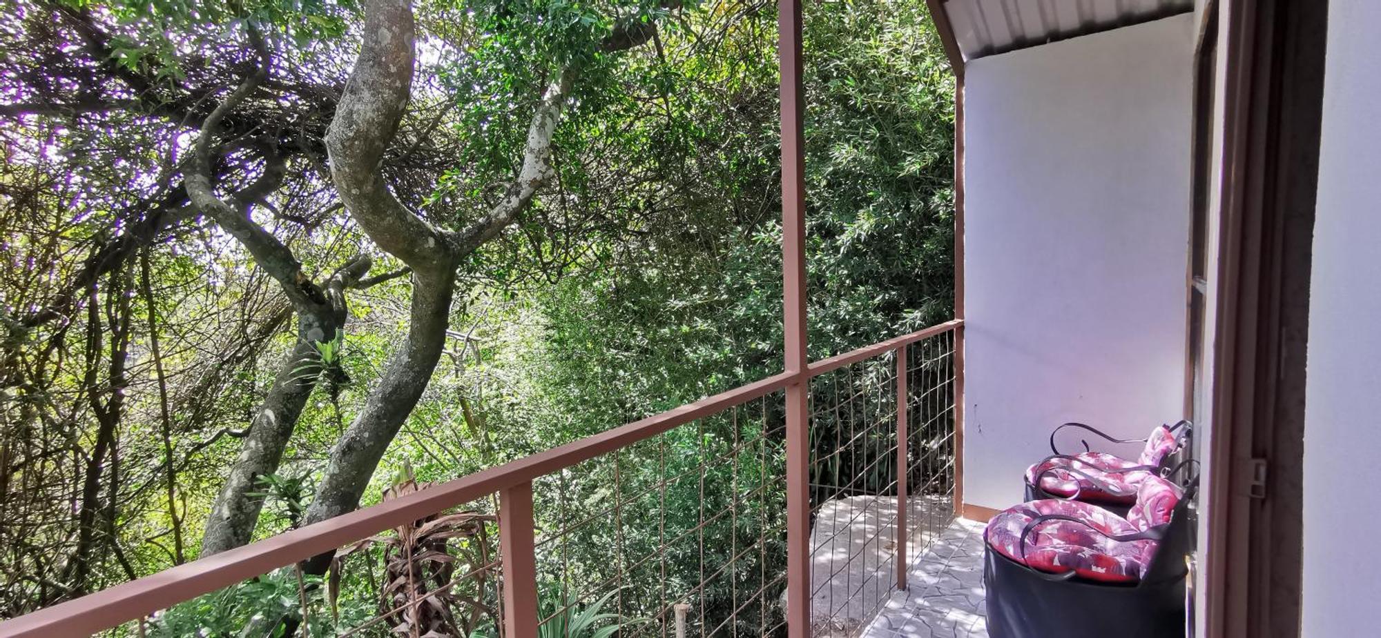 Mora's Place * Monteverde